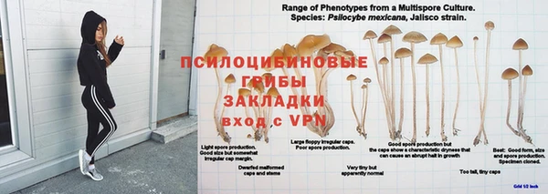 ALPHA PVP Алексин