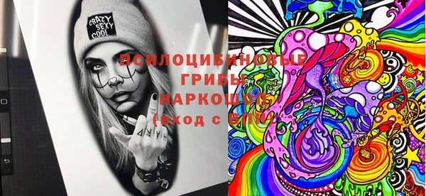 спиды Алзамай