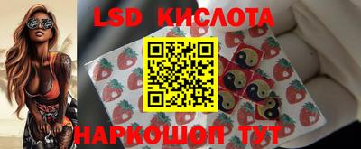 apvp Кимры