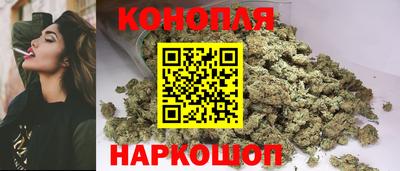 круглые Кингисепп