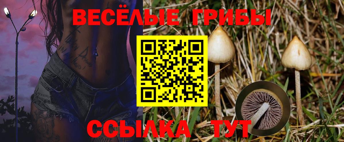 Псилоцибиновые грибы прущие грибы Сосновоборск